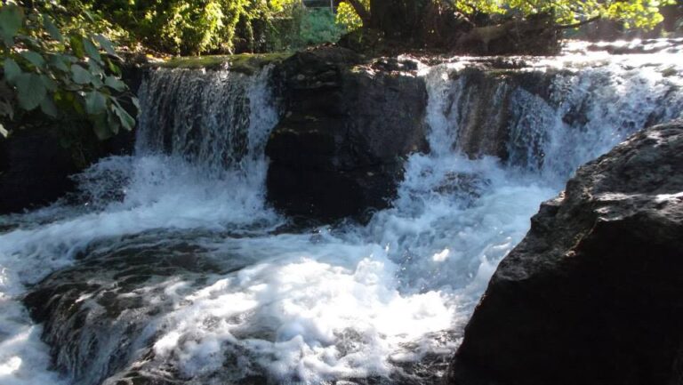 Where Nature Roars and Cinema Echoes: The Magic of Monte Gelato